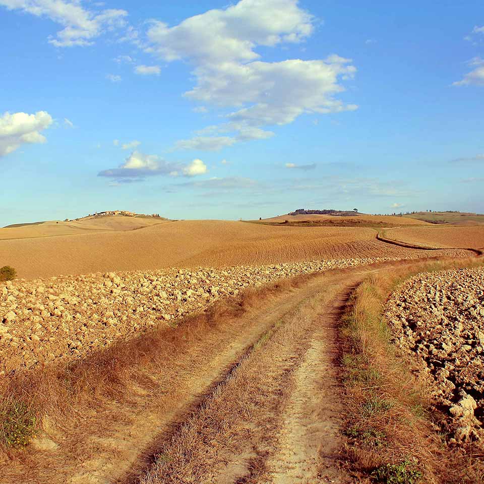 Crete senesi tour